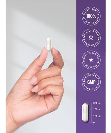 Horb ach Probiotic for Women & Men's Digestive Health | 3 Billion CFU | 90 Capsules | Non-GMO & Gluten Free - Buy Online on GoSupps.com