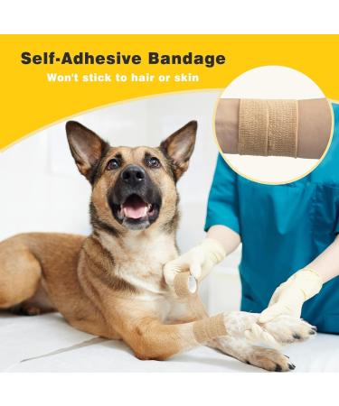 AnjoCare Self Adhesive Bandage Wrap(8 Pack) Breathable Elastic Athletic Tape Cohesive Bandage Wrap for First Aid Sports Injury Wrist and Ankle Sprains Protection Vet Wrap for Dogs Horses(2.5CMX4.5M) 2.5CM X 4.5M - Buy Online on GoSupps.com
