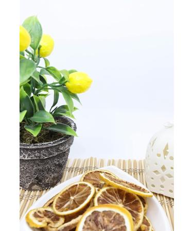 AKKA Whole Foods | Premium Oven Dried Lemon Slices | Vegan Friendly | Natural Healthy Snack | No Added Sugar | 100g Pack - Buy Online on GoSupps.com