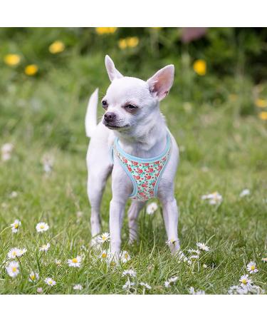 Heele Dog Harness for Small & Medium Dogs - Adjustable Reflective Soft Mesh Puppy Harness in Flower Cyan Breathable & Comfortable Design - Buy Online on GoSupps.com