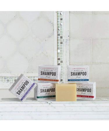J R Liggett's All-Natural 6 Variety Shampoo Bars Sampler Pack for Strong, Healthy Hair - Antioxidant Rich, Vitamin Infused, Detergent and Sulfate-Free - 6 Mini Shampoo Bars - Buy Online on GoSupps.com