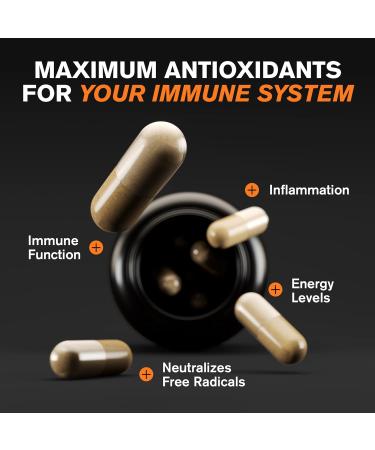 Immune System Booster - Vitamin C Zinc Supplement with Echinacea & Elderberry - 5-in-1 Herbal Immunity Support - 1 Pack - Buy Online on GoSupps.com