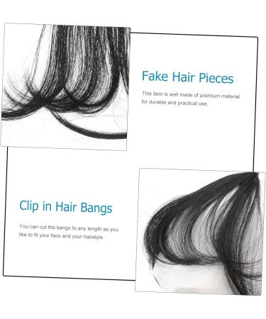 MAGICLULU Piece Womens Hair Clips Ladies Wigs Black Hair Clips French Barrette Bangs Hair Clip Thick Braided Hair Clips Clip Bangs Clip in Fringe Clip in Bangs Real Hair Slim Curtain Miss medium Black - Buy Online on GoSupps.com