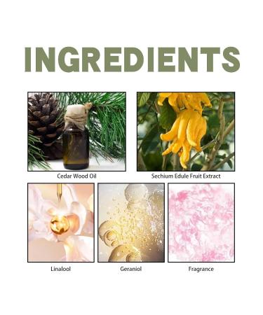 Women's Fragrances Romantic Skincare Eau De Parfum Fruity Beauty Products Suitable for Special Occasions Perfume Gift for Women One Size Light Blue - Buy Online on GoSupps.com