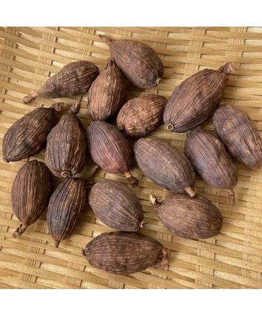 Amomum Tsaoko Crevost et Lemarie/Tsaoko Amomum Fruit Cao Guo/Traditional Spice (500 Grams) - Buy Online on GoSupps.com