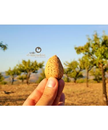 Portuguese Toasted Skinless Almond 2kg Large Natural Ideal for Vegan Vegetarian Keto and Paleo Diets. Vale D'Amendoa - Buy Online on GoSupps.com