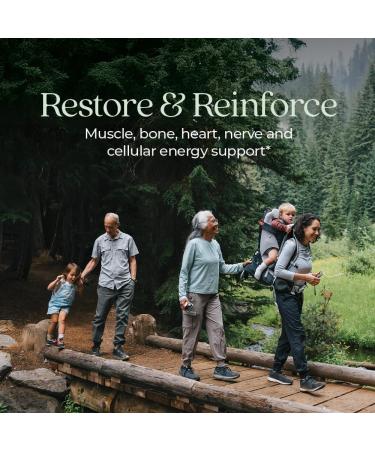 New Chapter Magnesium Complex Supplement 325mg with Magnesium Glycinate + Sea-Sourced + Fermented Forms for Heart Bone Nerve Muscle & Cellular Energy 100% Vegan 60 Tablets 60 Count (Pack of 1) - Buy Online on GoSupps.com