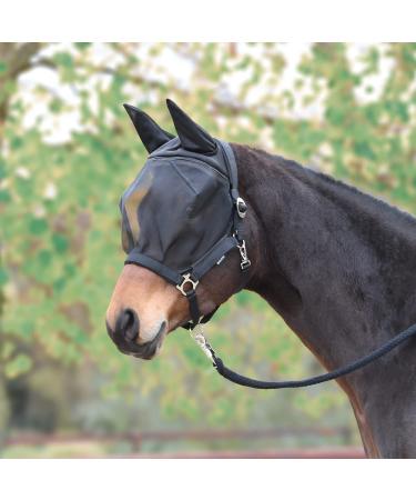 Busse Fly Halter Fast Black Warmblood