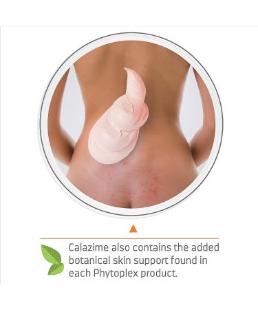Medline Remedy Phytoplex Calazime Skin Protectant Cream 4oz - Fragrance & Paraben Free - Intensive Skin Therapy - Pack of 1 - Buy Online on GoSupps.com