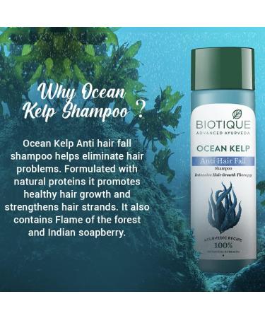 Biotique Kelp Fresh Growth Protein Shampoo for Fine and Thinning Hair 120ml - Buy Online on GoSupps.com