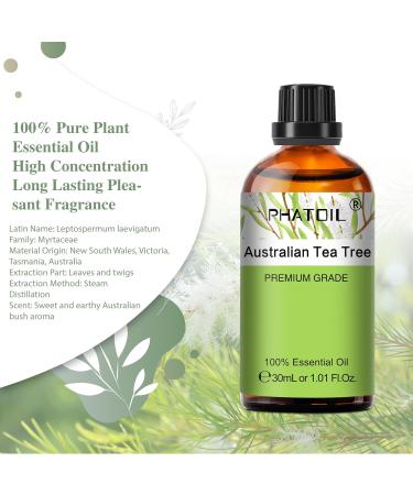 PHATOIL Australian Tea Tree Essential Oil 30ML - Premium Grade Pure Oil for Diffusers - Aromatherapy, Humidifier, Candle Making - 1 Pack - Buy Online on GoSupps.com