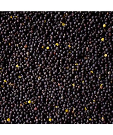 Naturhaus-emperor rapeseed 2kg loose for heat pillow grape cushion cushions Cold pillow filling kernels filling material grape seed bags foot massage hand massage occupational therapy physiotherapy black