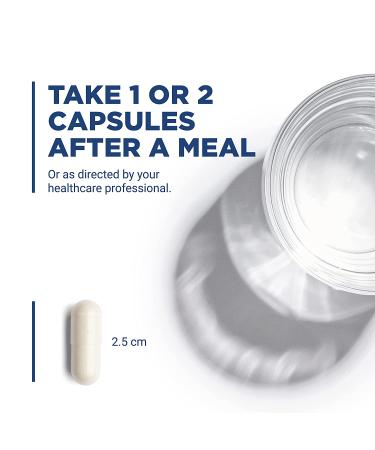 Vital Nutrients Pancreatic Enzymes 500 mg - 90 Capsules for Digestive Health - Buy Online on GoSupps.com