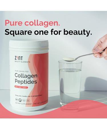 Zint Grass-Fed Beef Collagen | Hydrolyzed Collagen Types I & III | 32 oz (907 g) - Buy Online on GoSupps.com
