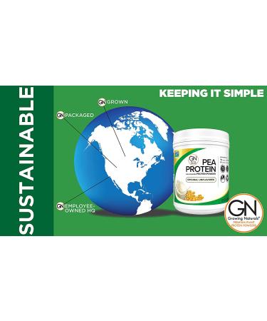 Vanilla Gold Standard Raw Pea Protein Powder - Non-GMO, Vegan, Gluten-Free, Keto - 1 lb - Buy Online on GoSupps.com