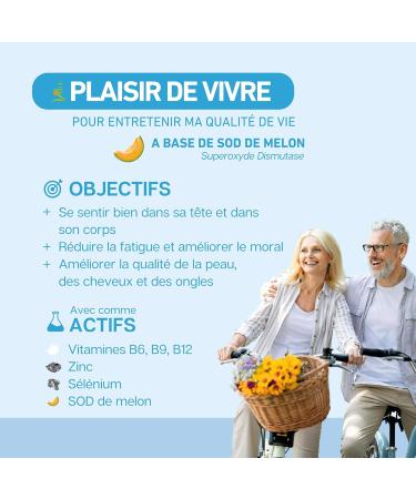 Vita PLAISIR DE VIVRE SOD de melon Compl ment alimentaire pour le bien- tre de l esprit et du corps fatigue moral Vitamine B6 B9 B12 Zinc Levure de S l nium 60 G lules - Buy Online on GoSupps.com