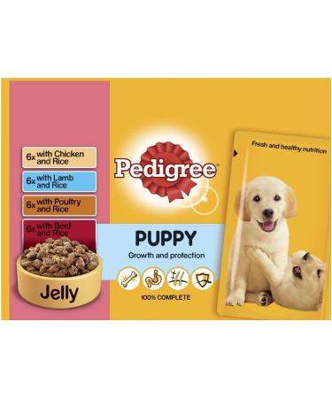 Pedigree Junior Wet Dog Food for Young Dogs and Puppies 2-12 Months Mixed Selection in Jelly 48 Pouches (48 x 100 g) Mixed Selection in Jelly 2.4 kg (Pack of 2) - Buy Online on GoSupps.com
