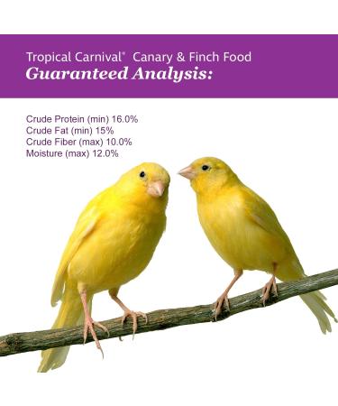 F.M. Brown's Tropical Carnival Gourmet Canary and Finch Food 1.5-lb Bag - Vitamin-Nutrient Fortified Daily Diet with Fruits Veggies Grains Seeds Herbs and Flowers - Buy Online on GoSupps.com