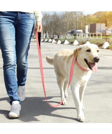 Tagme Personalized Reflective Nylon Dog Collar for Large Dogs - Custom Embroidered with Pet Name & Phone Number - Buy Online on GoSupps.com