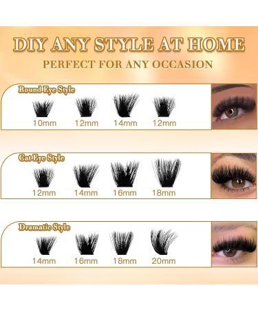 Fluffy 200D Lash Clusters - 224 Pcs 10-20mm D Curl Volume Eyelash Extensions | DIY Natural False Eyelashes at Home by Anforlin - Buy Online on GoSupps.com