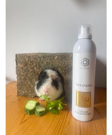 IO.CLINIC Gold Conditioner for Colored Hair 400 ML - Buy Online on GoSupps.com