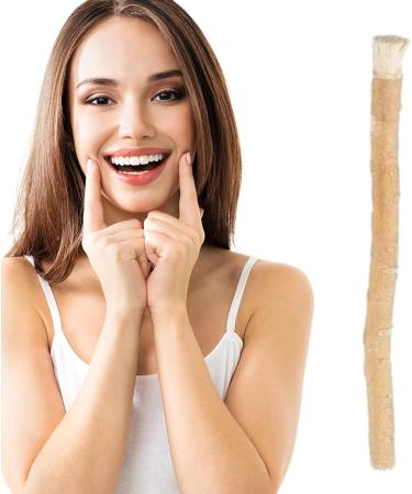 1/5 Natural Miswak Stick - Organic Miswak Toothbrush Freshener Miswak Stick | Traditional Natural Toothbrush with Premium Quality 0.5*0.5*11.5cm Teeth Cleaning Stick for Plaaque Removal Gums Teeth 1 Pc - Buy Online on GoSupps.com