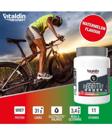 Vitaldin Sport Protein & Carb Complex Recovery Drink - Watermelon 750g | Whey Protein BCAA Glutamine Electrolytes for Energy & Muscle Recovery - International Shipping Available - Buy Online on GoSupps.com