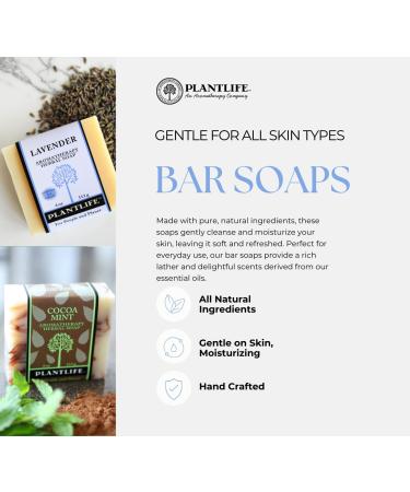 Plantlife Deodorant Bar Soap - Moisturizing & Soothing Plant-Based Soap - Handcrafted in California 4.5 oz - Buy Online on GoSupps.com