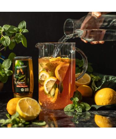 Biozentral Organic Agave Syrup | 3 x 350g - Natural Sweetener & Maple Syrup Alternative | Ideal Agave Nectar Replacement - Buy Online on GoSupps.com