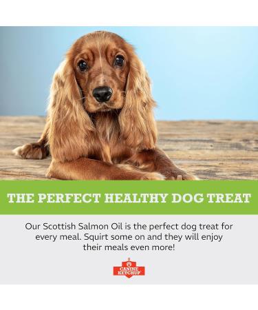 Scottish Salmon Oil for Dogs UK - 500ml | 100% Natural Omega 3, 6 & 9 Fish Oil | Dog Supplements - Canine Ketchup - Buy Online on GoSupps.com