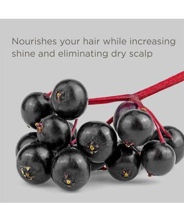 Hairitage Color Check Moisturizing Shampoo - UV Protection for Color Treated Hair - Prevent Fading & Washout - Elderberry & Passionfruit Oil - 13oz - Buy Online on GoSupps.com