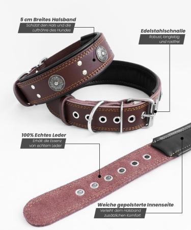 Handmade Leather Dog Collar - 5cm Wide Soft & Luxurious - Best for Large & Medium Breeds (49.5-60 cm) - Brown - Buy Online on GoSupps.com