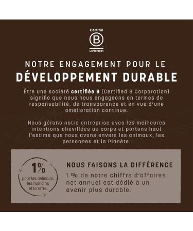 Earth Animal No Hide Stix Small Dog Chews with Natural Skinless Beef Long Lasting Chew Bones | Treats - Buy Online on GoSupps.com