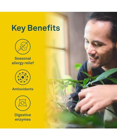 Organika Quercetin with Bromelain- High Availability Immune System Support Allergy and Inflammation Support- 60tabs 60 count (Pack of 1) Nutritional Supplement - Buy Online on GoSupps.com