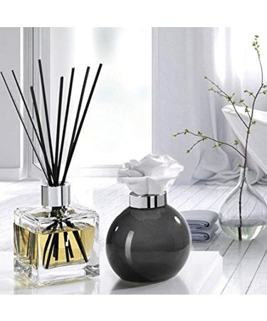 Premium Rattan Reed Diffuser Sticks - Room Fragrance & Air Freshener (20cm Black) for Intensive Aroma - Buy Online on GoSupps.com