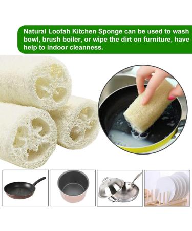 6 Pieces Natural Luffa Sponge Set | Exfoliate Dead Skin Ideal for Bath Shower & Kitchen Scrub | Eco-Friendly Personal Care & Decoration - Buy Online on GoSupps.com