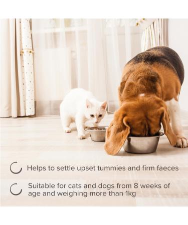 Beaphar Intestopro Intestinal Regulator Paste 20 ml Puppies/Dogs and Cats/Small Cats - Buy Online on GoSupps.com