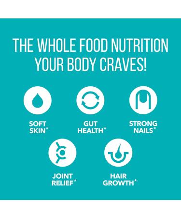 NaturesPlus Collagen Peptides Chocolate - 0.83 lb Powder - Hair Skin Nail & Joint Health Immune System Support - Non-GMO Gluten Free - 14 Servings Chocolate 14 Servings (Pack of 1) - Buy Online on GoSupps.com