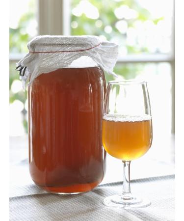 Original KOMBUSA TEEEPILZ - Premium Organic Kombucha Starter Kit (5L) | Includes Instructions & Growth Guarantee - Okiravit  - Buy Online on GoSupps.com