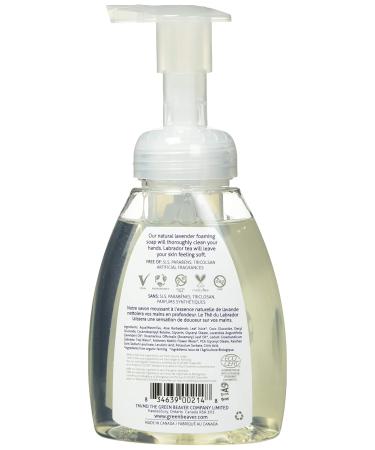 GREEN BEAVER Foaming Hand Wash - Lavender Scent 250 ML | Eco-Friendly & Gentle Cleansing for All Skin Types - International Shipping Available - Buy Online on GoSupps.com