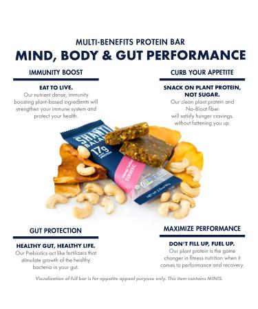 SHANTI BALANCE Mini Bars - Mango Cashew Turmeric | Organic, Gluten-Free Superfood | Immunity Boosting, 6g Plant Protein | RECOVER | 80 Calories | 24 Count - Buy Online on GoSupps.com