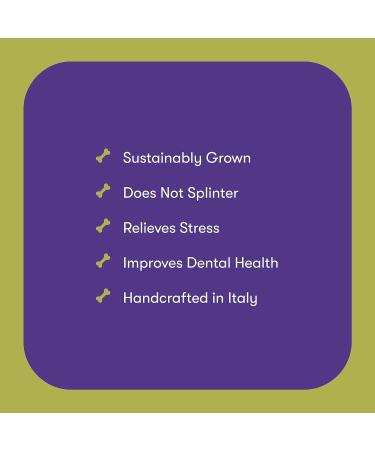 Buddylicious Natural Olive Sticks for Dogs - Safe and Delicious Eco Olive Wood Chew for Small Dogs (up to 10KG) - Buy Online on GoSupps.com