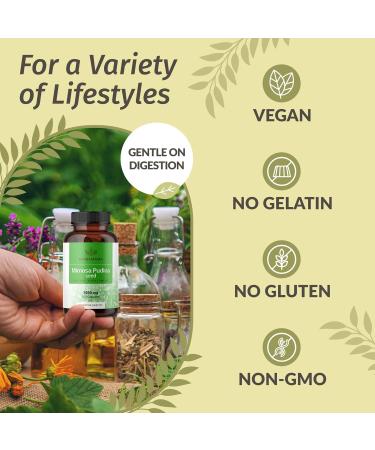 HERBAMAMA Mimosa Pudica Seed Capsules - 1000mg Mimosa Pudica Extract Powder for Digestive Cleanse & Detox - Vegan Non-GMO Digestive Support Supplement 100 Caps (Pack of 2) - Buy Online on GoSupps.com