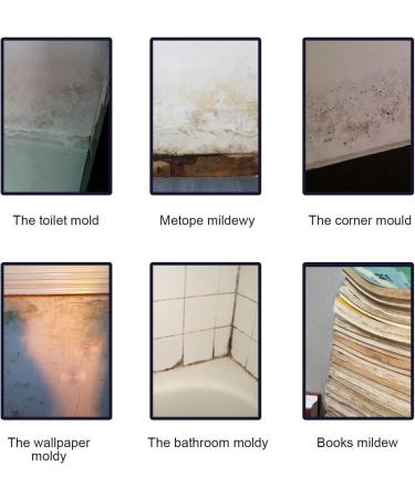 Black Mould Remover Foam Spray Anti Mould Cleaning Foam Mold and Mildew Removal Spray (1 Pcs) - Buy Online on GoSupps.com