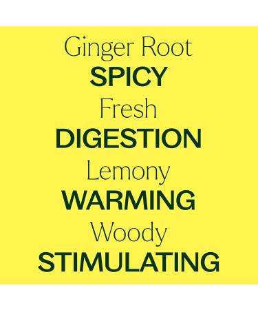 Plant Therapy Ginger Root CO2 Essential Oil 100% Pure Undiluted Natural Aromatherapy Ginger Oil for Diffuser Skin & Massage and Hair Therapeutic Grade 10 mL (1/3 oz) 0.33 Fl Oz (Pack of 1) - Buy Online on GoSupps.com