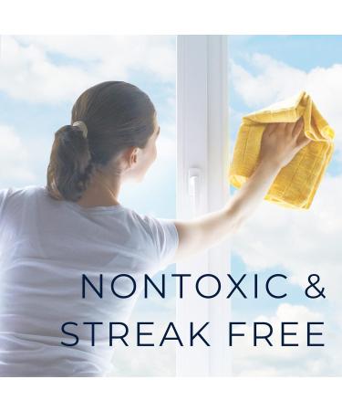 Buy Morton Pro Glass & Stainless Steel Cleaner - Nontoxic Streak-Free 128 Fl Oz - International Shipping Available - Buy Online on GoSupps.com