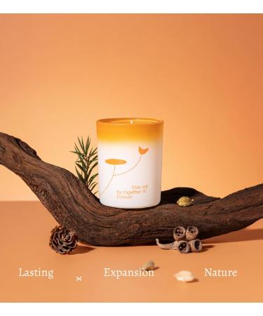 Scented Candle White Tea 150G - Floral Soy Wax Aroma Candle for Home Decor & Gifts | Perfect for Weddings Anniversaries Birthdays & Stress Relief - Buy Online on GoSupps.com