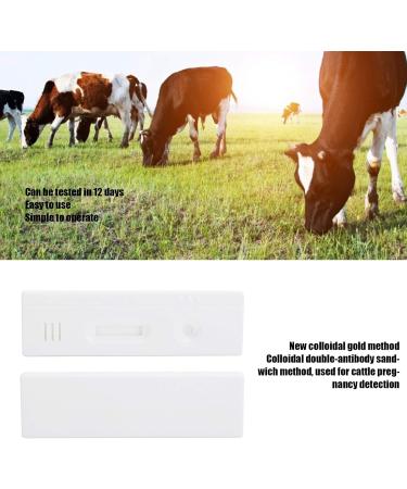 Cow Pregnancy Test Strip - High Accuracy Livestock Veterinary Equipment for Easy International Shipping - Buy Online on GoSupps.com