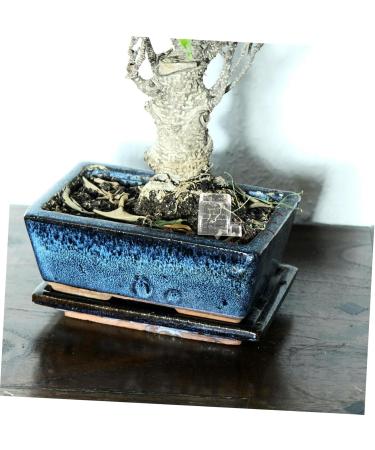 CIYODO Pet Water Feeder Ants Habitat Water Feeding Water Feeding Cup for Ants Nest Ants Water Bowl Plastic - Buy Online on GoSupps.com