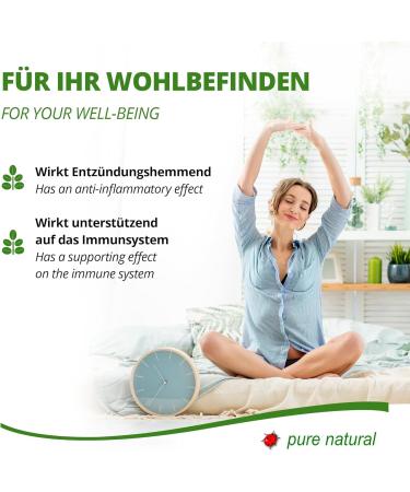 Graviola capsules - 2 months supply - natural fruit extract - metabolic well-being - vegan and gluten free - 1x120 pieces per MoriVeda - Buy Online on GoSupps.com